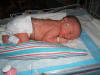 NapTime.JPG (112290 bytes)